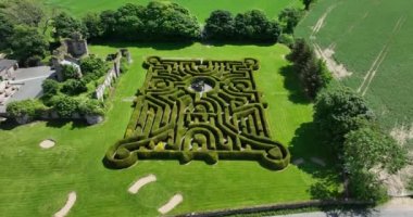 Havadan. Şehir parkında bir çit labirenti. Porsuk ağaçları. Çalılıklarda bir labirent. Dunbrody Abbey Bahçesi. Şehirde güzel bir yaz, yeşil ağaçlar. Wexford, İrlanda, 5k görüntü