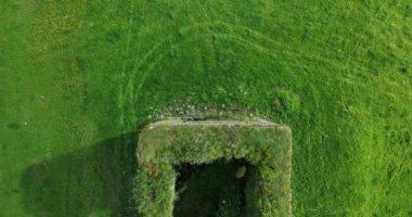 Anglo-Norman Kalesi 'nin, yeşil doğanın ve mavi gökyüzünün etrafındaki tarihi dairesel kule manzarası. Grennan Kalesi. Yüksek kalite 5k görüntü