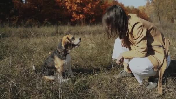 Piękna Dziewczyna Trenuje Swojego Psa Beagle Szczeka Rozkaz Orzeł Jesienna — Wideo stockowe