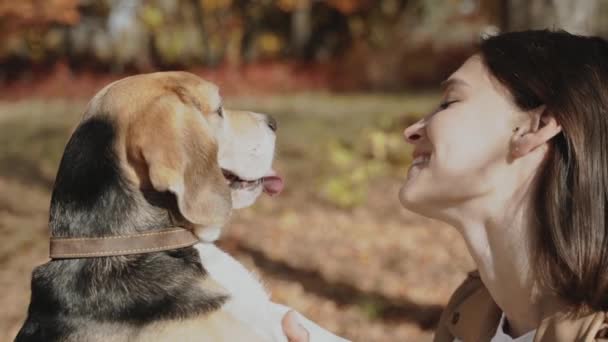 靠近点一个漂亮女孩和她的狗的肖像 一个女孩在欣赏她的小猎犬 真正的爱的概念 狗是人类最好的朋友 爱猎犬 基辅2019慢动作 — 图库视频影像