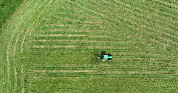 Letecký Zelený Traktor Projíždí Zelenou Loukou Seká Trávu Kamera Pohybuje — Stock video
