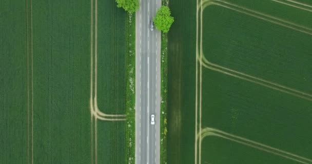 Flygfoto Highway Genom Fält Bilar Kör Längs Landsvägen Landsbygden Flygfoto — Stockvideo