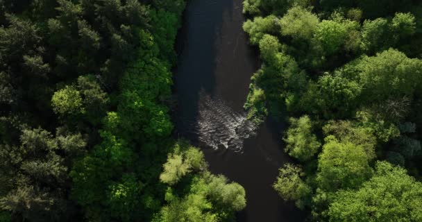 Mały Wodospad Nad Rzeką Nor Malownicze Drzewa Wokół Koryta Rzeki — Wideo stockowe