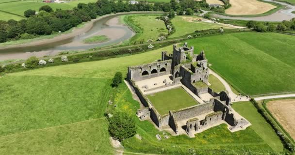 空中だ 荒廃した修道院 ダンブロディ修道院 Dunbrody Abbay アイルランドのウェックスフォード郡にある旧シトー会修道院 高品質4K映像 — ストック動画