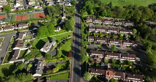 Arial View Beautiful Town Houses Lots Greenery Trees All Ireland — Video