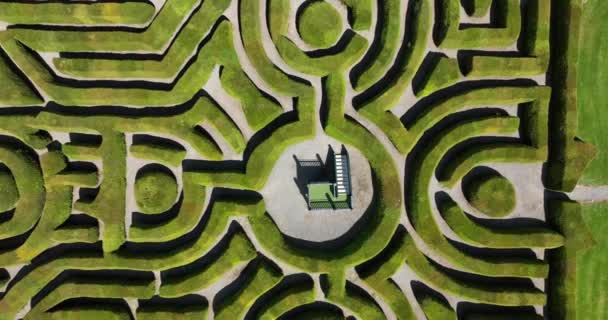 Labirinto Sebes Num Parque Urbano Árvores Labirinto Nos Arbustos Dunbrody — Vídeo de Stock