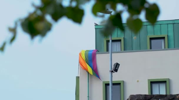 房子的建筑上挂着多色的Lgbt旗 Lgbt同志骄傲的旗帜在风中飘扬 高质量的4K镜头 — 图库视频影像