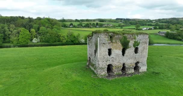 Drona Zniszczony Zamek Zamek Grennan Wieża Anglo Norman Okrągła Panorama — Wideo stockowe