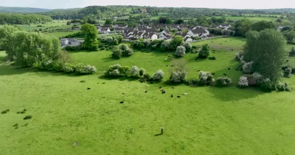 Nekler Yeşil Bir Çayırda Otluyor Arka Planda Küçük Kasaba Thomas — Stok video