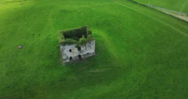 Drona Zniszczony Zamek Zamek Grennan Wieża Anglo Norman Okrągła Panorama — Wideo stockowe