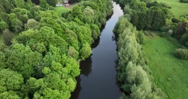 Luftaufnahme Des Flusses Nore Vor Dem Hintergrund Malerischer Bäume Und — Stockvideo