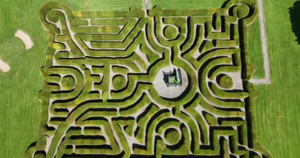 エアリアル5K 公園の緑の迷宮 上からの無人機の視点 ダンブロディアビーガーデン 城の庭は 複雑なイューヘッジ迷路のための休憩場所です ウェックスフォード アイルランド — ストック動画