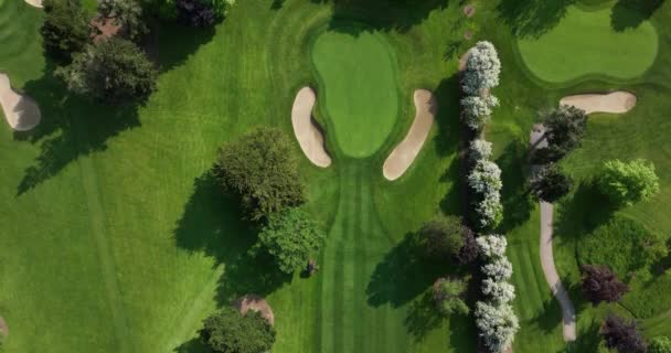 Aereo Personale Speciale Con Attrezzature Professionali Preparare Campo Golf Tagliare — Video Stock