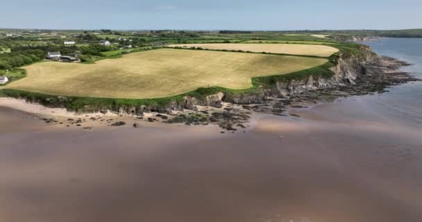 ロッキー ショア アイルランド南東のダンカノン村の海岸の景色 海の近くに農民がいる ワイルドビーチ ケルト海の水について ワックスフォード 5Kについて — ストック動画