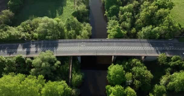 川の空中ビューアイルランドのフィールドを持つノアと絵の木 ノアリバーの絵のように美しい橋を渡って3台の車が運転しています アイルランド キルケニー2023年 高品質5K映像 — ストック動画
