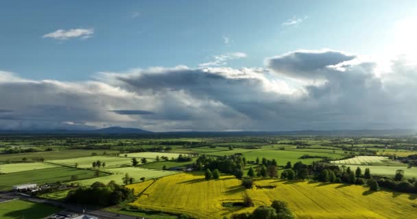 Luftaufnahmen Blühende Felder Irland Gelbe Und Grüne Felder Beeindruckende Ländliche — Stockvideo