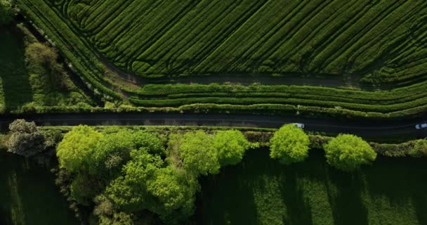 Jediná Cesta Uprostřed Krásných Zelených Polí Stromů Irsku Dvě Auta — Stock video
