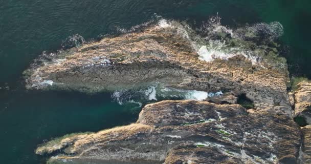 Skaliste Brzegi Krajobrazy Dzikiego Atlantyku Wody Morza Celtyckiego Piękne Miejsca — Wideo stockowe