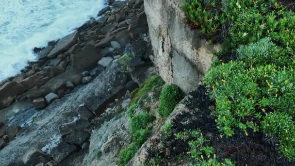 陡峭的悬崖在葡萄牙的大西洋波浪的背景下 慢动作4K镜头 — 图库视频影像