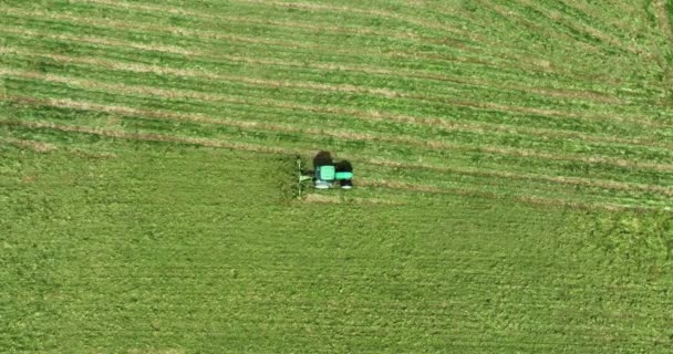 Letecká Fotografie Zelený Traktor Projíždí Zelenou Loukou Seká Trávu Kamera — Stock video