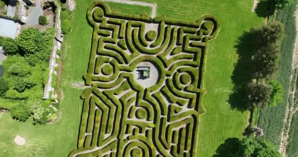Luchtfoto Circulair Een Groen Labyrint Het Park Drone Standpunt Van — Stockvideo