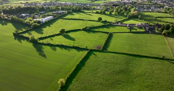 アイルランドの緑のフィールド 絵のような秋の風景 晴れた日 青空の下で緑の草原 高品質5K映像 — ストック動画