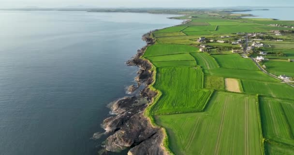 アイルランドの国土の端 ロッキーの海岸 ワイルドアトランティックウェイの風景 ケルト海の水について ケープフック半島の美しい場所 アイルランド — ストック動画