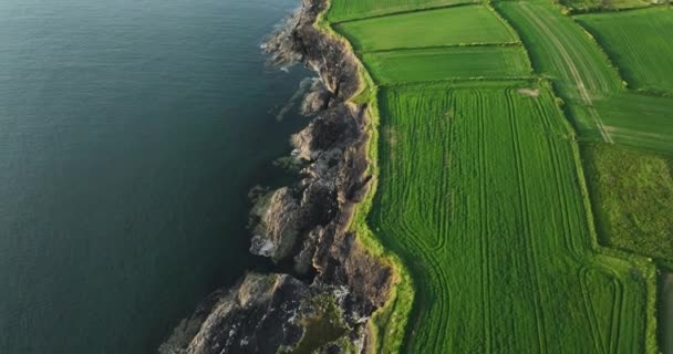 Havadan Kayalık Kıyılar Atlantik Okyanusu Yakınlarındaki Yeşil Arazi Manzaraları Kelt — Stok video