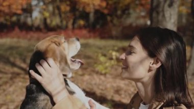 Gülümseyen genç bir kadın av köpeğini tırmalıyor. Gerçek aşk kavramı: köpek insanın en iyi dostudur, av köpeğini severim. Kiev 2019 Ağır çekim 120