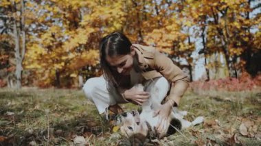 Çimenli çimenlerde köpeğiyle oynayan bir kız. Köpek uzanıyor ve top oynuyor. Beagle. Köpek insanın en iyi dostudur, hayvanları sever. Ağır çekim. Yüksek kaliteli FullHD görüntüler