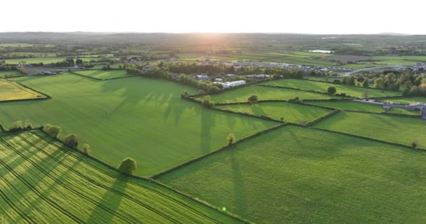 アイルランドの緑のフィールド 絵のような春の風景 晴れた日 青空の下で緑の草原 高品質5K映像 — ストック動画