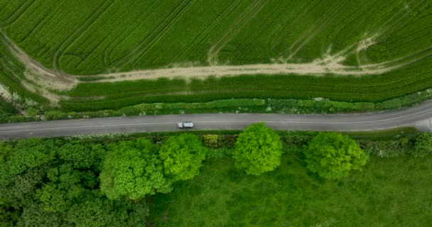在爱尔兰美丽的绿色农田和树木中间有一条单行线 两辆车沿着大路行驶 高质量的5K镜头 — 图库视频影像