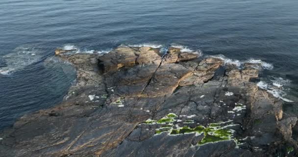 ロッキー ショア 大西洋付近の緑地の風景 ケルト海の水について ケープフック半島の美しい場所 アイルランド — ストック動画