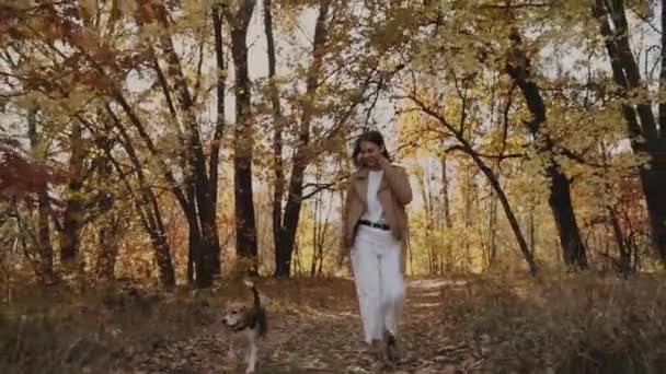 Menina Cão Beagle Andando Caminhada Alegre Com Animal Estimação Pessoas — Vídeo de Stock