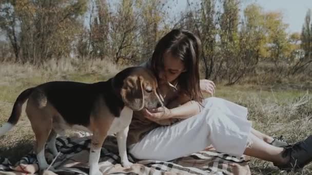 Girl Kisses Her Dog While Walking Park Beagle Concept Dog — Stock Video