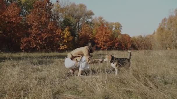 一个漂亮的女孩正在训练一只狗 小猎犬在空地上顺从地倾听着主人的声音 比格尔秋天的概念 狗是人类最好的朋友 爱动物 Kyiv 乌克兰2019 — 图库视频影像