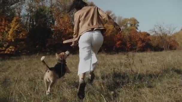 Mujer Feliz Jugando Con Perro Beagle Corriendo Por Parque Beagle — Vídeos de Stock
