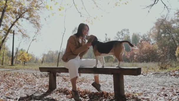 Holka Pohladí Psa Bíglů Když Sedí Lavičce Parku Dlouhé Objetí — Stock video
