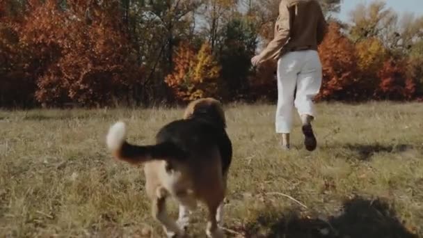 Счастливая Женщина Играющая Своей Собакой Бегает Парку Здоровье Счастливая Семейная — стоковое видео