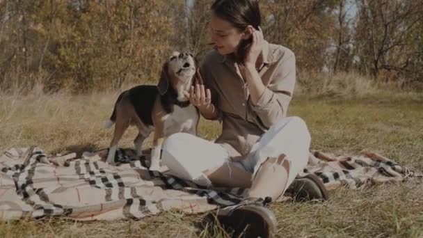 Dívka Sedí Travnatém Trávníku Hladí Svého Psa Nejlepší Přátelé Koncept — Stock video