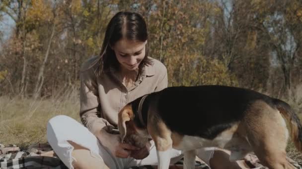 一个女孩和她的猎犬狗坐在公园的一个空地上 温柔地微笑和拥抱她 爱和狗 狗是人类最好的朋友 爱猎犬 慢动作120 — 图库视频影像