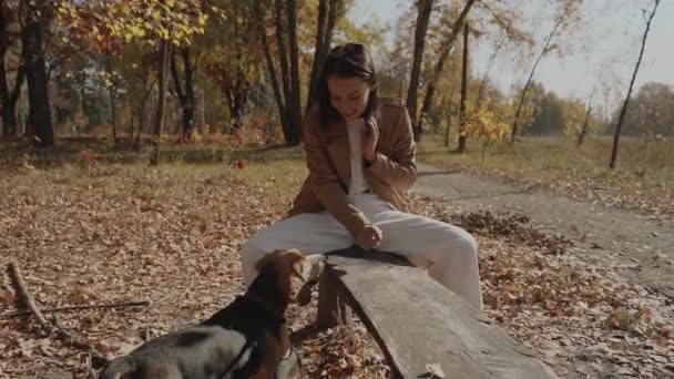 慢动作女孩指出了狗应该跳到哪里去 一个长长的抱着小猎犬的拥抱 狗是人类最好的朋友 对动物的爱 基辅2019 — 图库视频影像