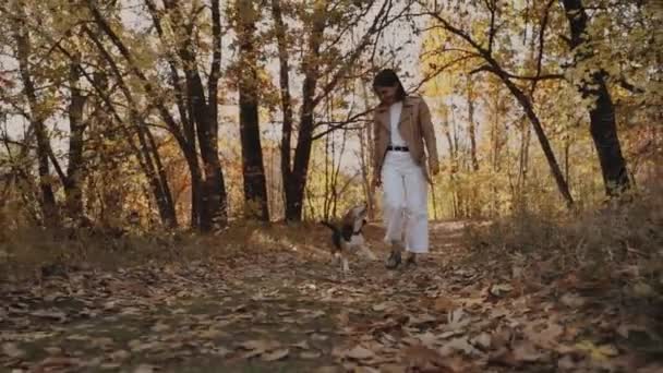 Meisje Een Beagle Hond Uitlaten Vrolijke Wandeling Met Huisdier Mensen — Stockvideo
