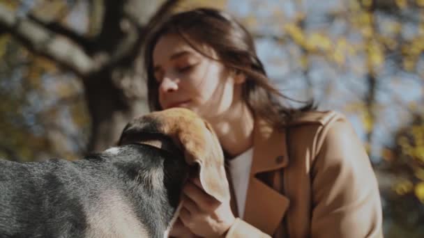 Desenfocado Una Chica Guapa Acaricia Suavemente Perro Con Los Ojos — Vídeos de Stock