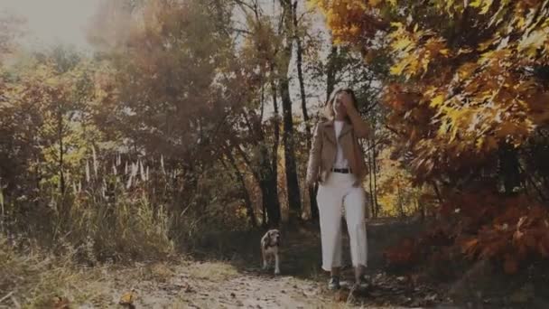 Menina Cão Beagle Andando Caminhada Alegre Com Animal Estimação Pessoas — Vídeo de Stock