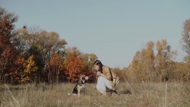 一个漂亮的女孩花时间与她的小猎犬 比格尔秋天的概念 狗是人类最好的朋友 爱动物 Kyiv 乌克兰2019 — 图库视频影像