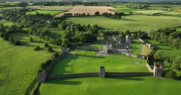古代の城は アイルランドの緑の谷と川の背景に設定されています 美しい自然のまわりで キルケニー4K近くのこの歴史的なランドマークの緑の木ケルズプリー — ストック動画