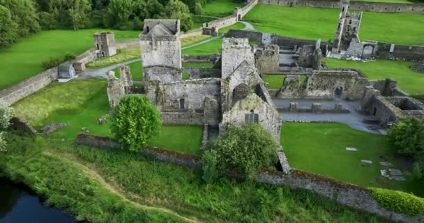 Kells Augustinian修道院座落在国王河岸边 在Kells村以东0 5公里处 Kilkenny市以南12公里处 — 图库视频影像