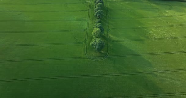 Aeriană Peisaj Incredibil Într Vale Verde Zburând Peste Câmp Verde — Videoclip de stoc