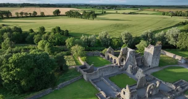 Powietrza Klasztor Kells Augustinian Znajduje Się Brzegu Rzeki Kings Wschód — Wideo stockowe